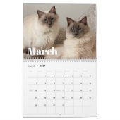 Calendrier Fluff & Doodle 2026 (Mar 2027)