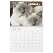 Calendrier Fluff & Doodle 2026 (Jan 2027)
