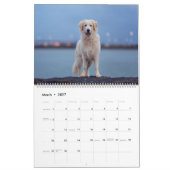 Calendrier Fluffies géantes (Mar 2027)