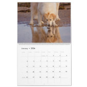Calendrier Fluffies géantes (Jan 2026)