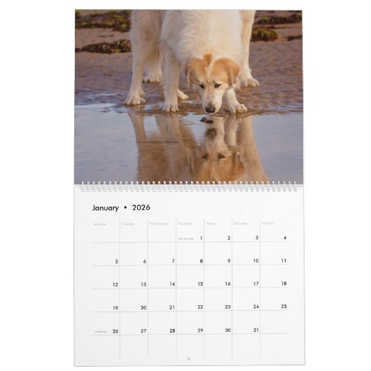 Calendrier Fluffies géantes (Jan 2026)