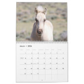 Calendrier Foals sauvages de Salt Wells Creek (Mar 2026)