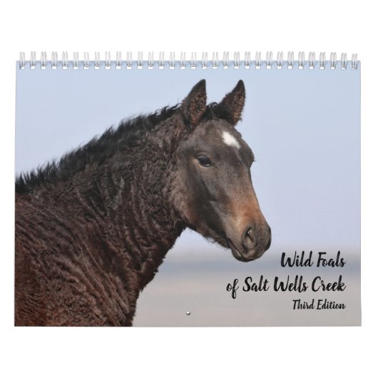 Calendrier Foals sauvages de Salt Wells Creek (Protection)