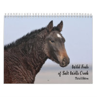 Foals sauvages de Salt Wells Creek