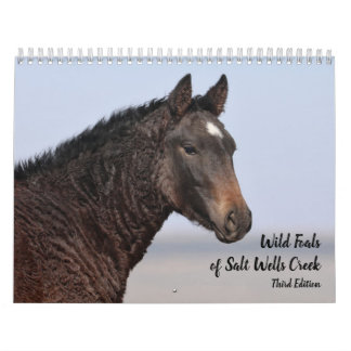Calendrier Foals sauvages de Salt Wells Creek