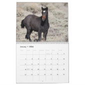 Calendrier Foals sauvages de Salt Wells Creek (Jan 2026)