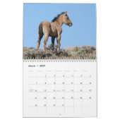 Calendrier Foals sauvages de Salt Wells Creek (Mar 2027)