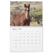 Calendrier Foals sauvages de Salt Wells Creek (Feb 2027)