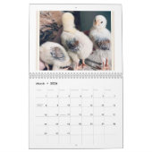 Calendrier For the Love of Chickens 2026 Calendar (Mar 2026)