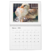 Calendrier For the Love of Chickens 2026 Calendar (Feb 2026)
