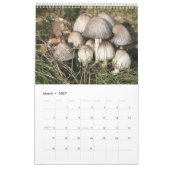 Calendrier Forest Mushrooms Calendar (Mar 2027)