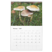 Calendrier Forest Mushrooms Calendar (Feb 2027)