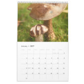 Calendrier Forest Mushrooms Calendar (Jan 2027)
