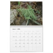 Calendrier - Forêt conviviale (Mar 2026)