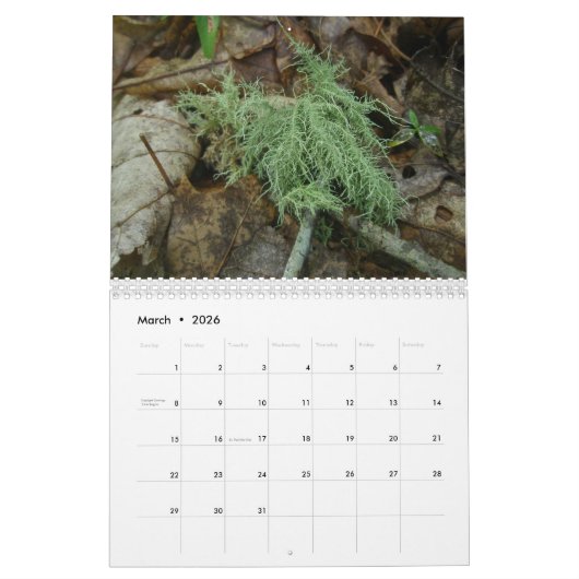 Calendrier - Forêt conviviale (Mar 2026)