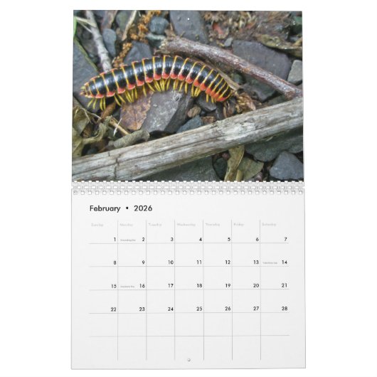 Calendrier - Forêt conviviale (Feb 2026)