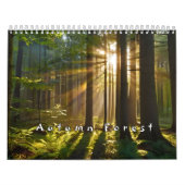 Calendrier Forêt d'automne avec poutres de soleil (Protection)