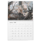 Calendrier Forêt de loups en colère (Jan 2027)