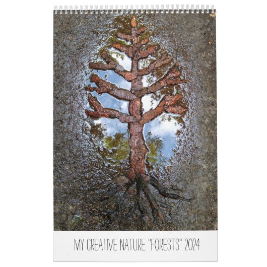 Calendrier Forêts 2024 arbres paysage art nature (Protection)