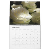 Calendrier Forever Roses Calendar (Jan 2027)