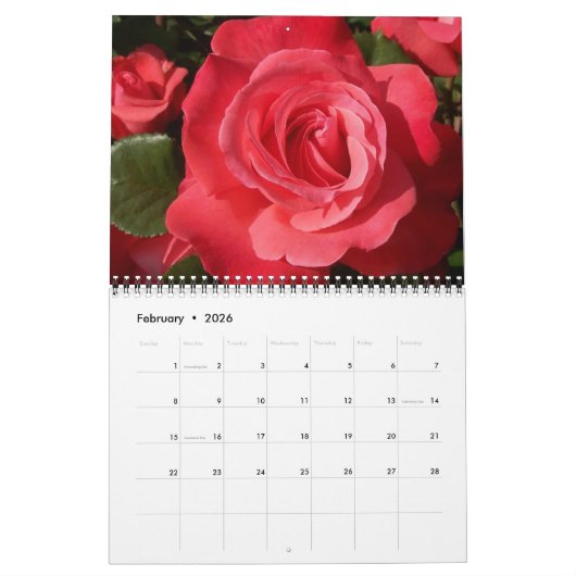 Calendrier Forever Roses Calendar (Feb 2026)