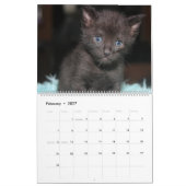 CALENDRIER FOSTER LOVE (Feb 2027)
