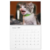 CALENDRIER FOSTER LOVE (Jan 2027)