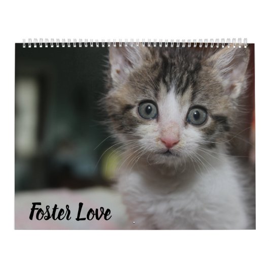 CALENDRIER FOSTER LOVE (Protection)
