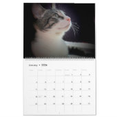 CALENDRIER FOSTERING KITTENS IS THE BEST (Jan 2026)