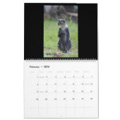 Calendrier Fotoz à la Fred 2023 Calendar Edition #2 (Feb 2026)