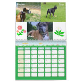 Calendrier fou 2011 de boxeur (Mar 2027)