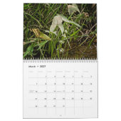 Calendrier Foule à propos des Fleurs sauvages #1 (Mar 2027)
