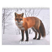 Calendrier Fox (Protection)