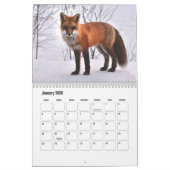 Calendrier Fox (Jan 2026)