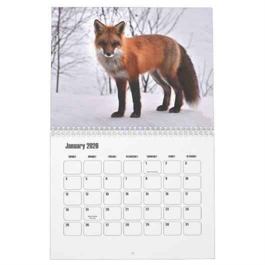 Calendrier Fox (Jan 2026)