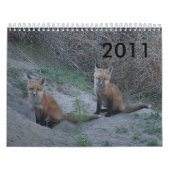 Calendrier Fox 2011 (Protection)