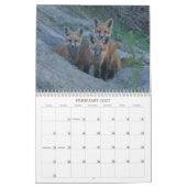 Calendrier Fox 2011 (Feb 2027)