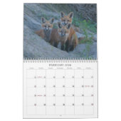 Calendrier Fox 2011 (Feb 2026)
