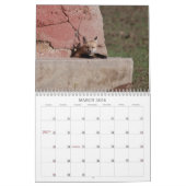 Calendrier Fox 2011 (Mar 2026)