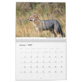 Calendrier Foxes 2021 par Chris Milligan (Jan 2027)