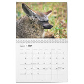 Calendrier Foxes 2021 par Chris Milligan (Mar 2027)