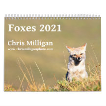 Foxes 2021 par Chris Milligan