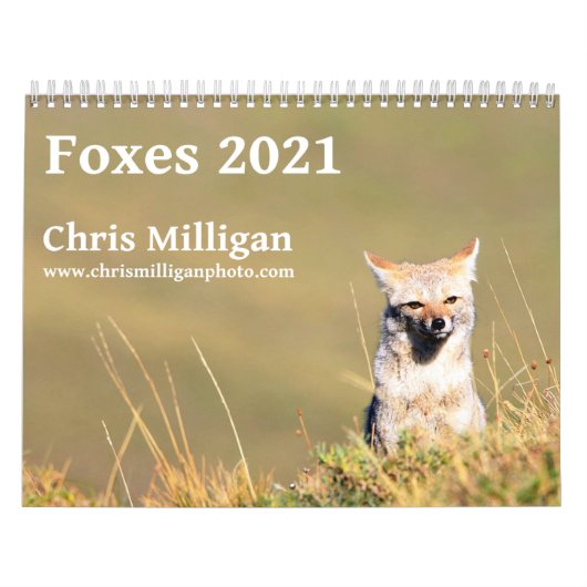 Calendrier Foxes 2021 par Chris Milligan (Protection)
