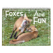 Calendrier Foxes Are Fun Calendar (Protection)