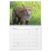 Calendrier Foxes Funnies (Jan 2026)