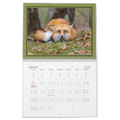 Calendrier Foxes Funnies (Mar 2026)