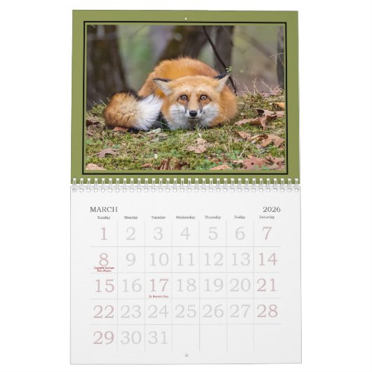 Calendrier Foxes Funnies (Mar 2026)