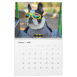 Calendrier français Bulldog 2020 pour les Amoureu