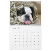 Calendrier français Bulldog 2020 pour les Amoureux (Jan 2027)
