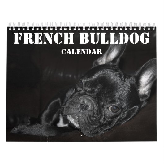 Calendrier Français Bulldog 2026 Avec Photos (Protection)